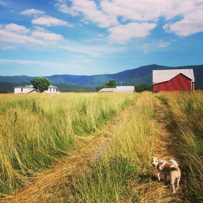 Вилла Madeline Farms Лурей Экстерьер фото