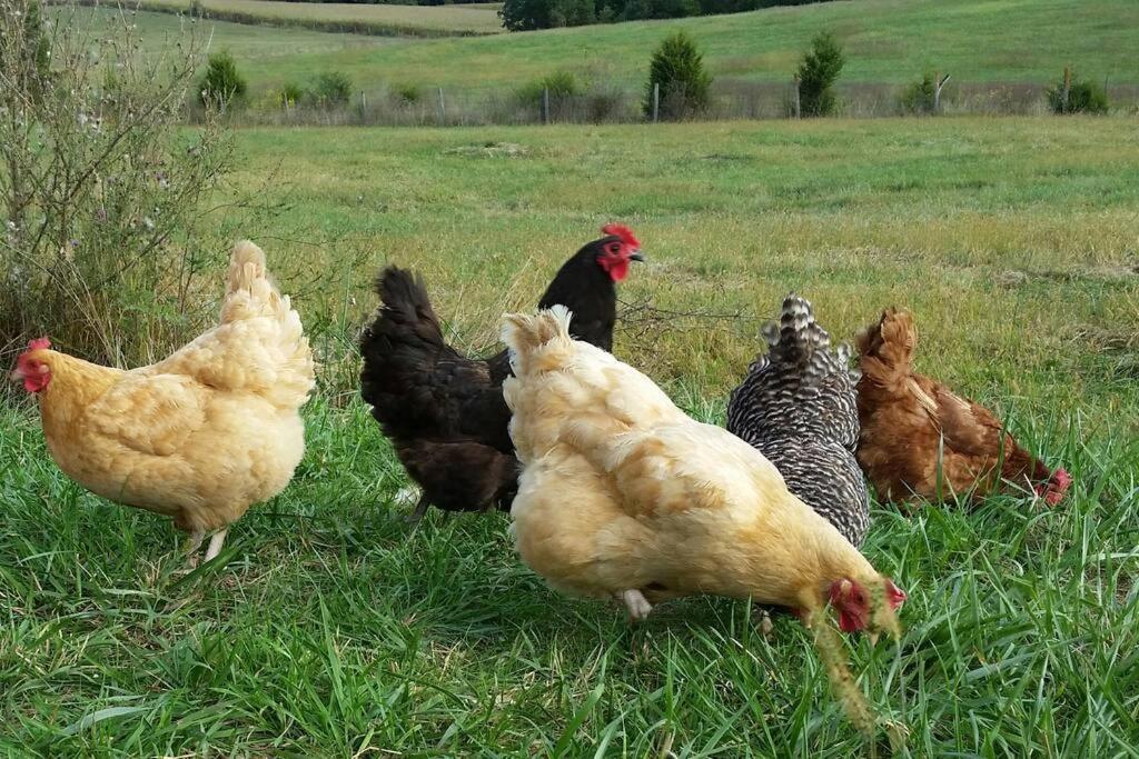 Вилла Madeline Farms Лурей Экстерьер фото