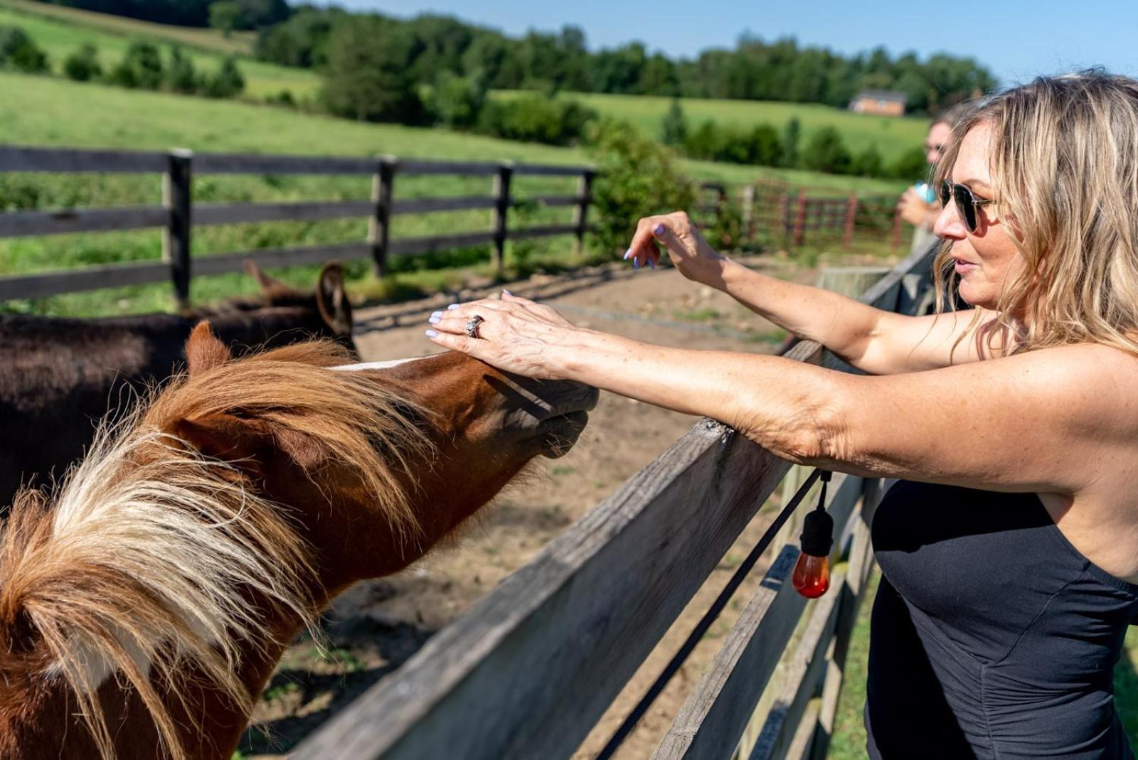 Вилла Madeline Farms Лурей Экстерьер фото