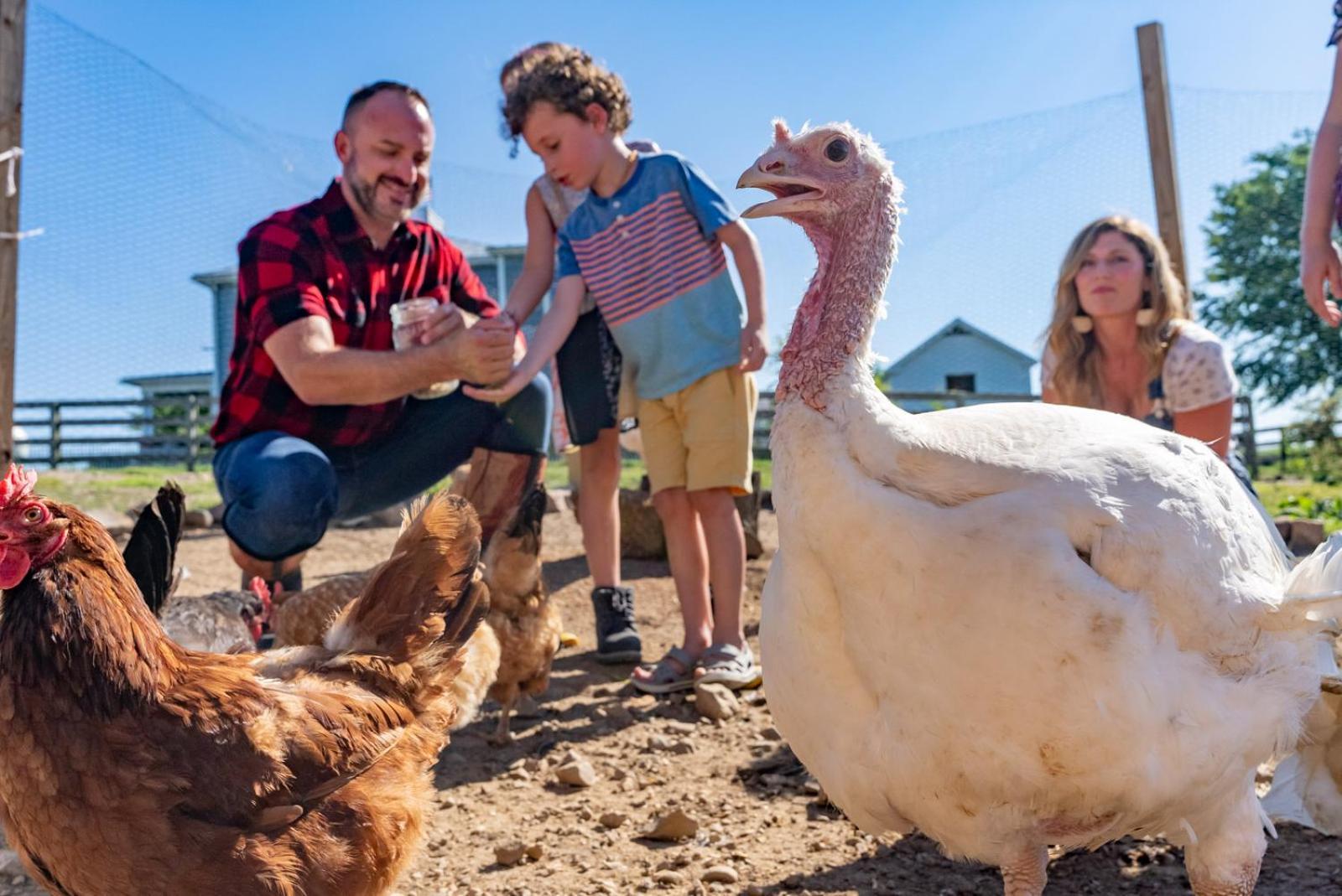 Вилла Madeline Farms Лурей Экстерьер фото